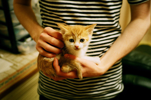 三晋铁骑撼华南虎！外援詹姆斯掀起完美风暴