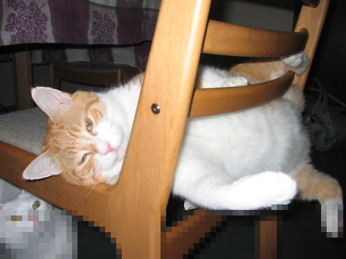 绝境之光，努涅斯93分钟救主，西班牙红魔压哨逆转曼联！