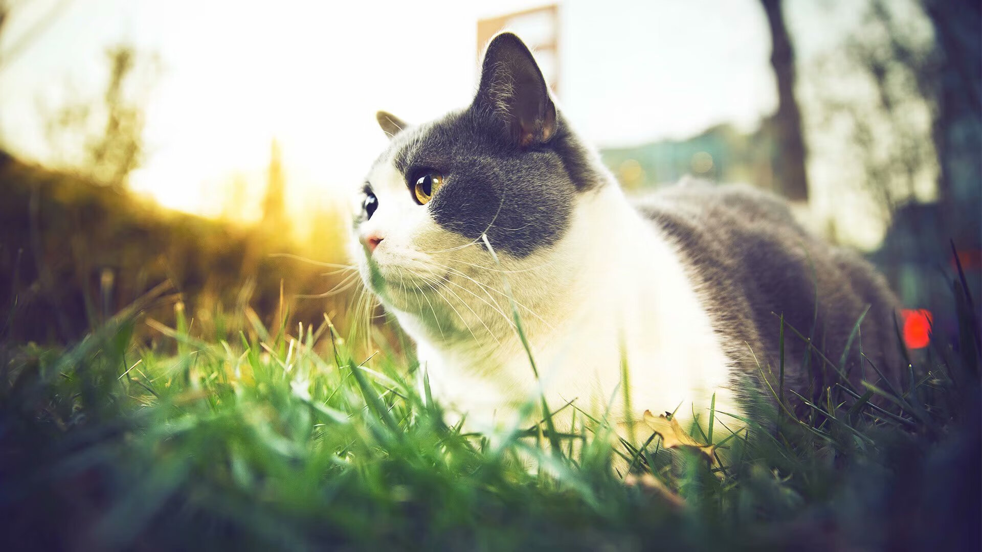 开云体育入口-新神登基，切特45分+绝命封盖，76人加时险胜湖人迎来巅峰对决