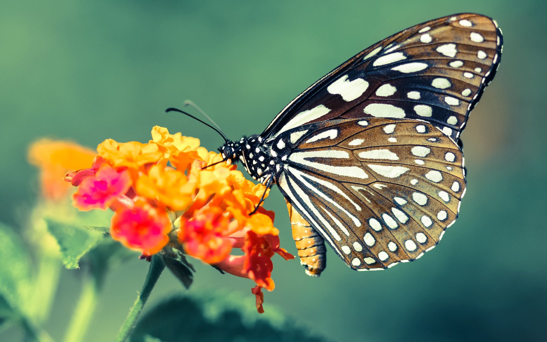 贝恩狂飙制霸国际赛场，山西队强压深圳献关键胜利