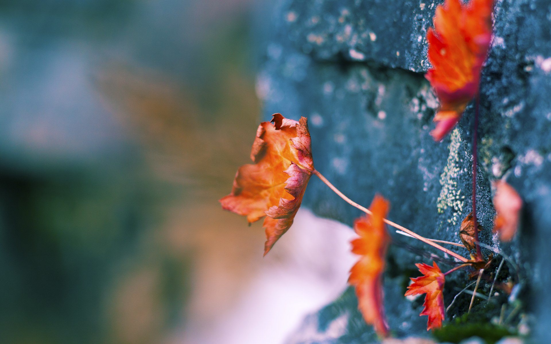 向旧主证明，亦是超越旧我，哈兰德冷面斩杀背后的终极进化